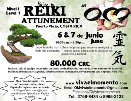 Reiki Attunement June 6 & 7, 2013 at OM